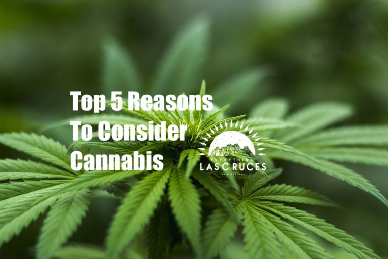 Top 5 Reasons to Consider Cannabis